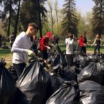 Choosing a Green Waste Removal Company That Aligns with Your Eco-Goals