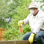 What to Expect from Professional Pest Control Baulkham Hills