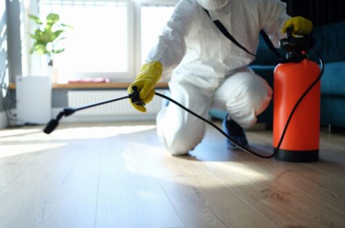 Home Termite Control