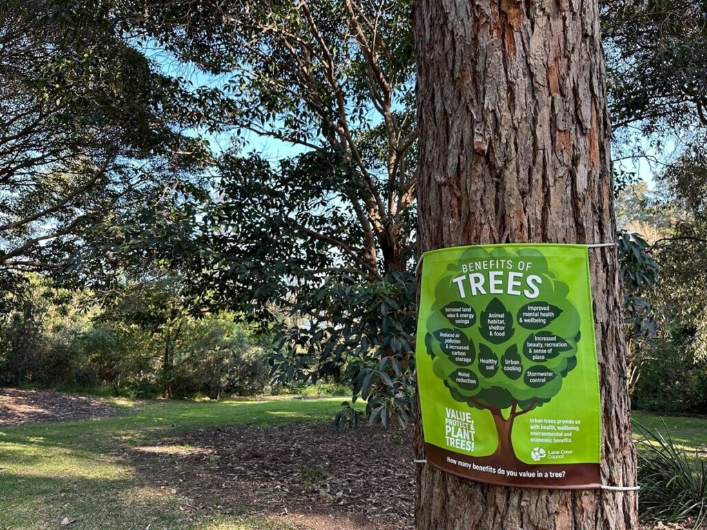 What Should Be on Your Property Checklist? Including Arborist Lane Cove
